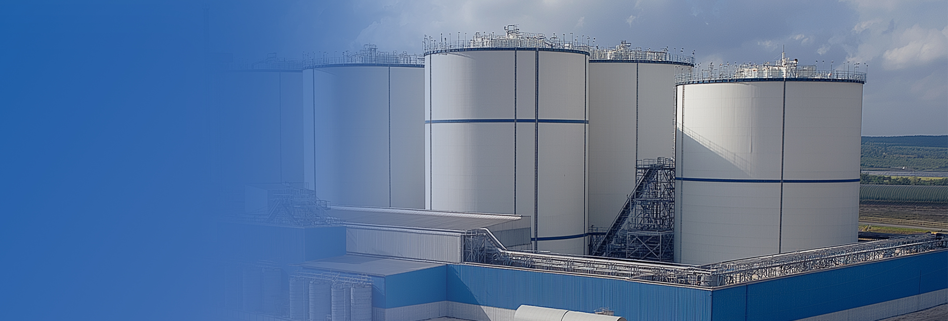 VSport - ʤ������������